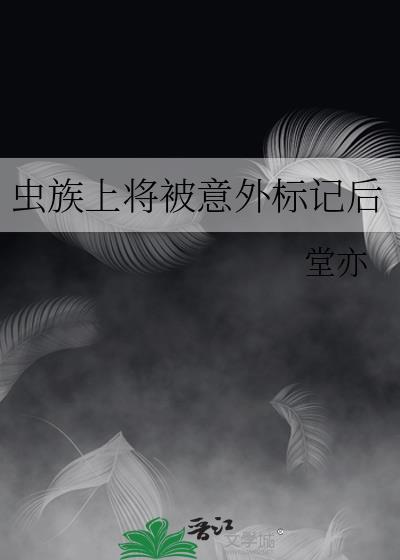 清穿之皇妃