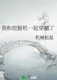 我和挖掘机一起穿越了173