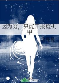 只能开报废机甲