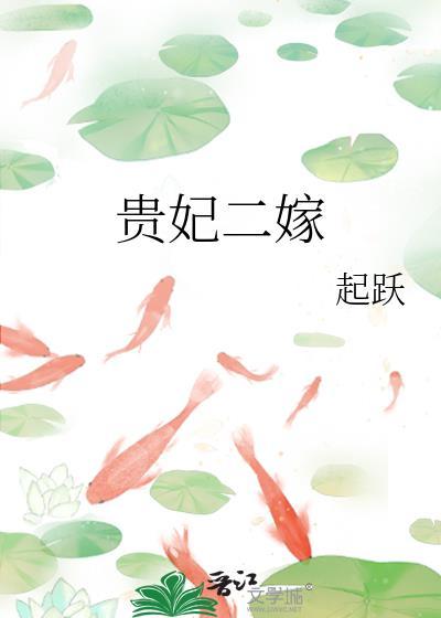 贵妃二嫁好看吗