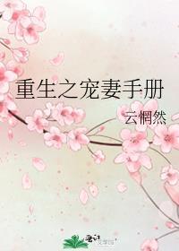 重生之宠妻手册