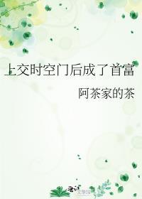 上交时空门后成了首富