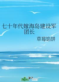 七十年代嫁海岛建设军团长