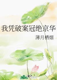 我凭破案冠绝京华