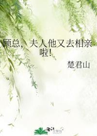 顾总,夫人他又去相亲啦!