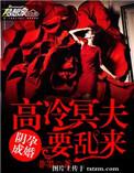 阴孕成婚:高冷冥夫要乱来