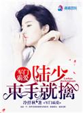 军门霸爱:陆少,束手就擒