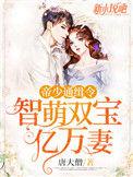 帝少通缉令:智萌双宝亿万妻