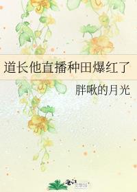 道长他直播种田爆红了