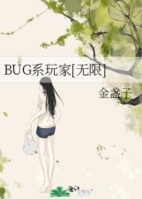 BUG系玩家[无限]