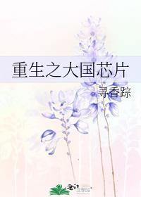 重生之大国芯片