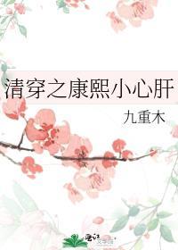 清穿之康熙小心肝